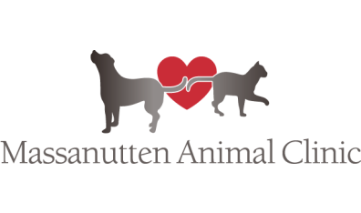 Massanutten Animal Clinic-HeaderLogo